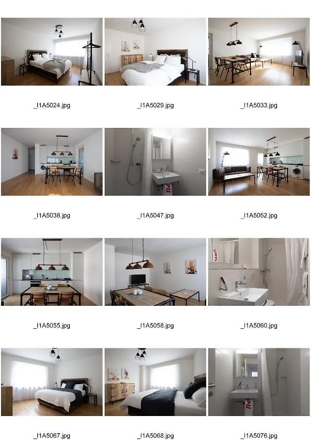 Apartment Ferienwohnung Riehenring 147 Basel Schweiz